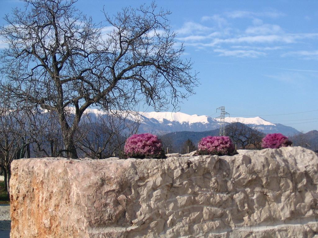 Bed and Breakfast Col Delle Rane Caerano Di San Marco Екстер'єр фото